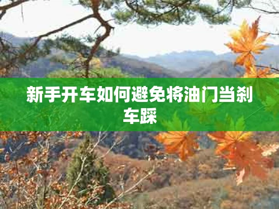 新手开车如何避免将油门当刹车踩