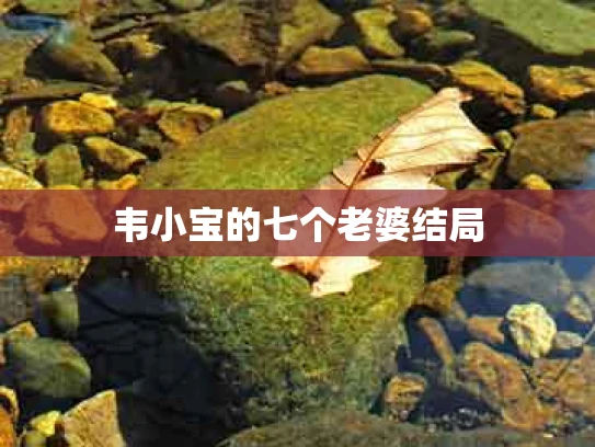 韦小宝的七个老婆结局