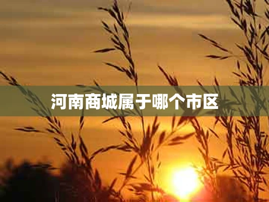 河南商城属于哪个市区