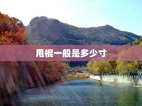 甩棍一般是多少寸