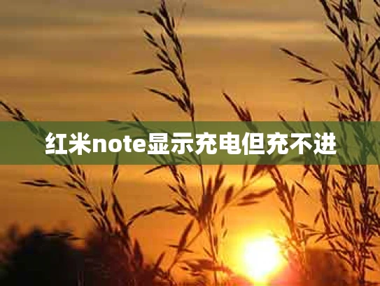 红米note显示充电但充不进