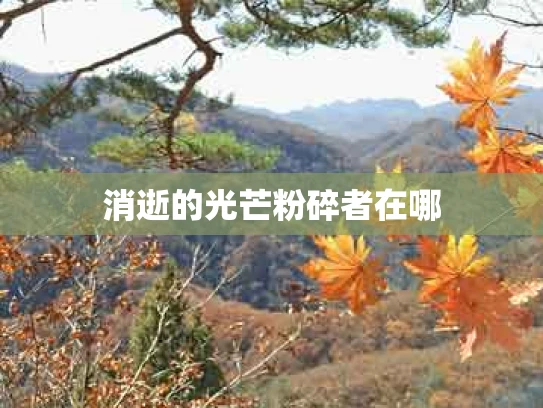 消逝的光芒粉碎者在哪