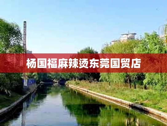 杨国福麻辣烫东莞国贸店