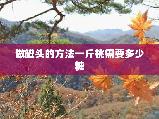 做罐头的方法一斤桃需要多少糖
