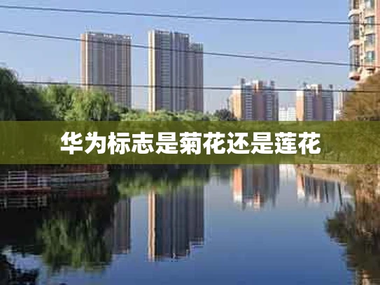 华为标志是菊花还是莲花