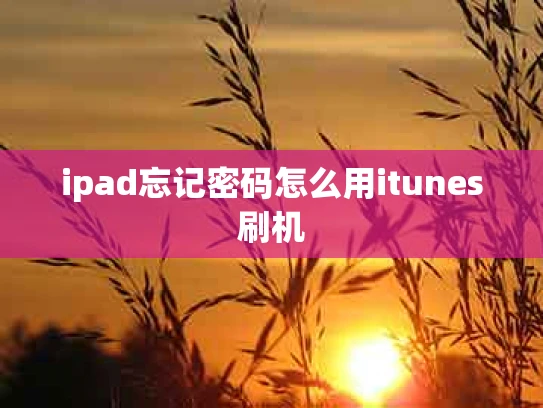 ipad忘记密码怎么用itunes刷机