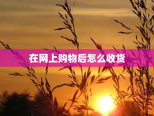 在网上购物后怎么收货