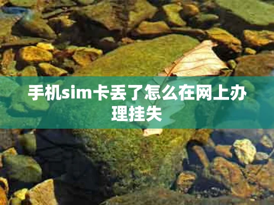 手机sim卡丢了怎么在网上办理挂失
