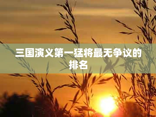三国演义第一猛将最无争议的排名