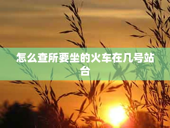 怎么查所要坐的火车在几号站台