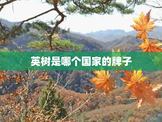英树是哪个国家的牌子