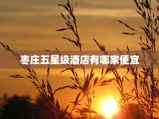 枣庄五星级酒店有哪家便宜