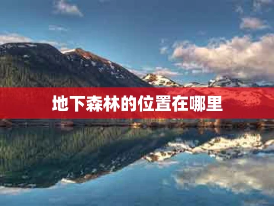 地下森林的位置在哪里