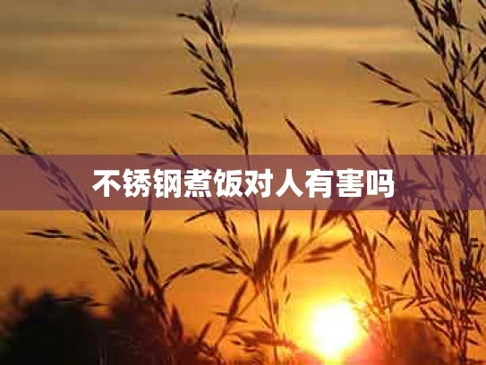不锈钢煮饭对人有害吗