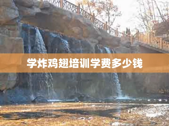 学炸鸡翅培训学费多少钱