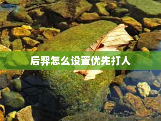 后羿怎么设置优先打人