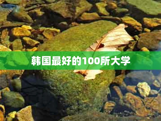 韩国最好的100所大学
