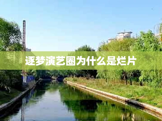 逐梦演艺圈为什么是烂片