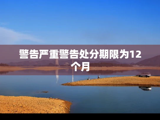 警告严重警告处分期限为12个月