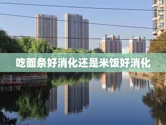 吃面条好消化还是米饭好消化