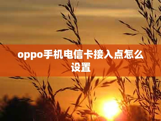 oppo手机电信卡接入点怎么设置