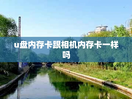 u盘内存卡跟相机内存卡一样吗