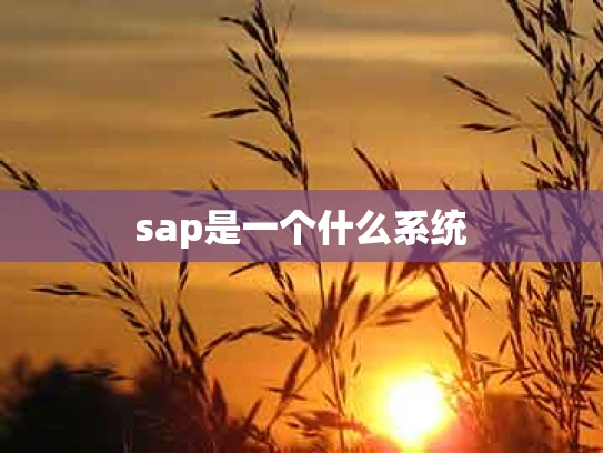 sap是一个什么系统