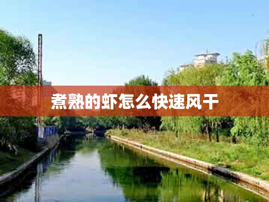 煮熟的虾怎么快速风干