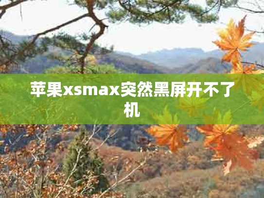 苹果xsmax突然黑屏开不了机