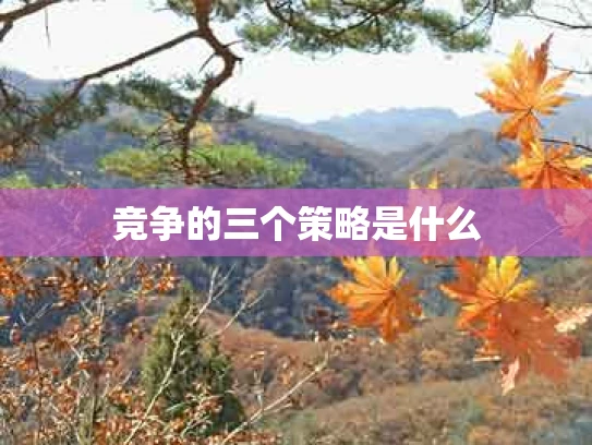 竞争的三个策略是什么