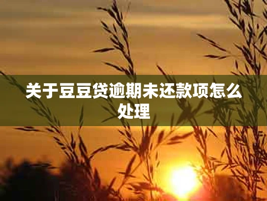 关于豆豆贷逾期未还款项怎么处理
