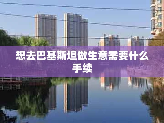 想去巴基斯坦做生意需要什么手续