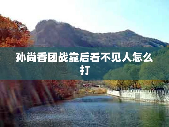 孙尚香团战靠后看不见人怎么打