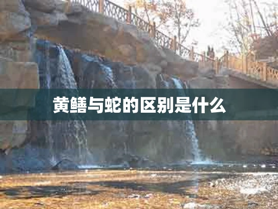 黄鳝与蛇的区别是什么