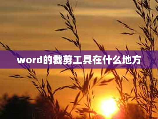 word的裁剪工具在什么地方