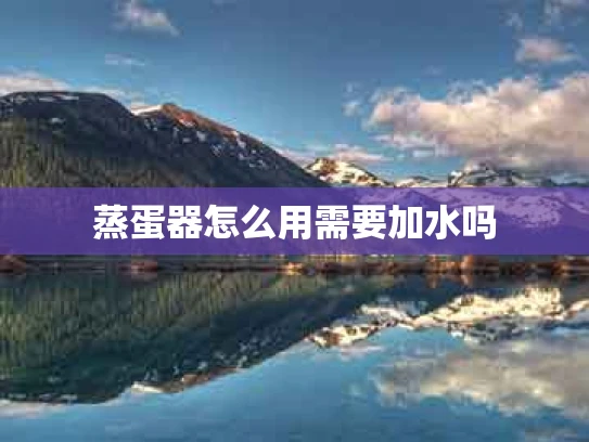 蒸蛋器怎么用需要加水吗