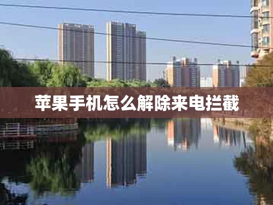 苹果手机怎么解除来电拦截