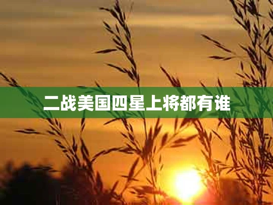 二战美国四星上将都有谁