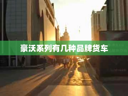 豪沃系列有几种品牌货车