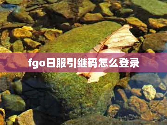 fgo日服引继码怎么登录