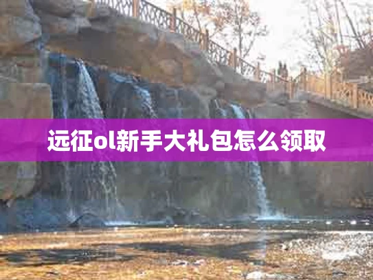 远征ol新手大礼包怎么领取
