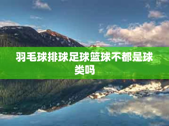 羽毛球排球足球篮球不都是球类吗