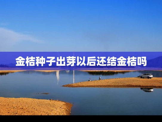 金桔种子出芽以后还结金桔吗