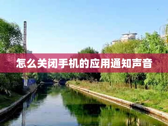 怎么关闭手机的应用通知声音