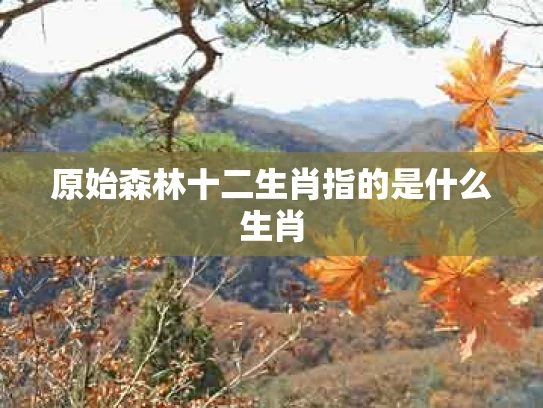 原始森林十二生肖指的是什么生肖