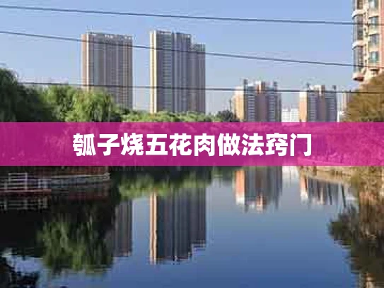 瓠子烧五花肉做法窍门