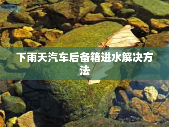 下雨天汽车后备箱进水解决方法