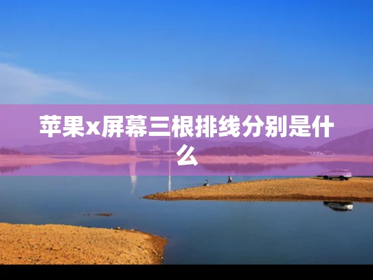 苹果x屏幕三根排线分别是什么