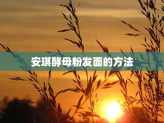 安琪酵母粉发面的方法