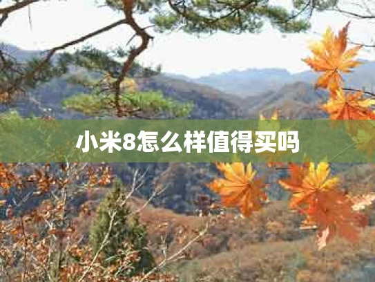 小米8怎么样值得买吗